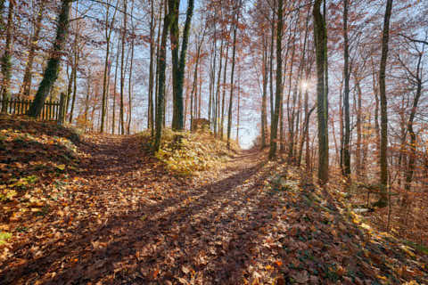 Gemeinde Julbach Landkreis Rottal-Inn Schlossberg Herbst (Dirschl Johann) Deutschland PAN